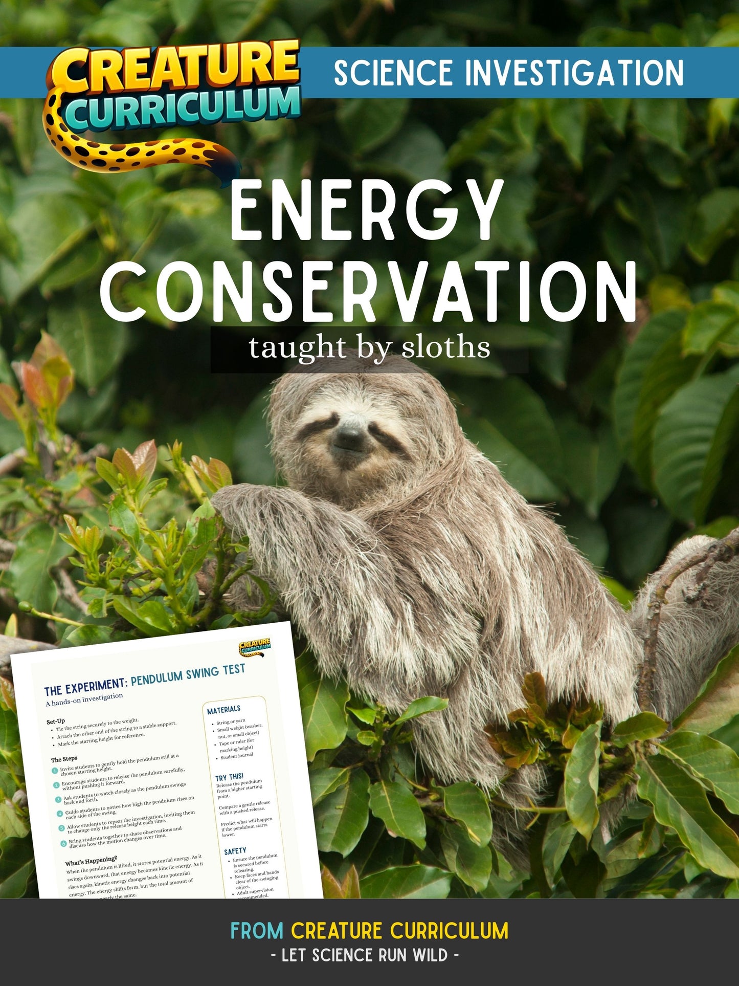 Energy Conservation - Sloths