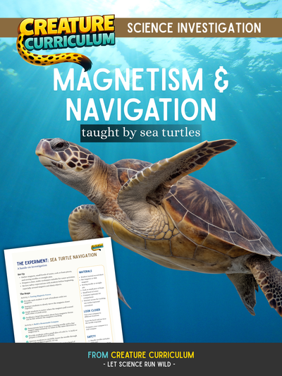 Magnetism & Navigation - Sea Turtles