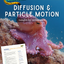 Diffusion and Particle Motion - Octopuses