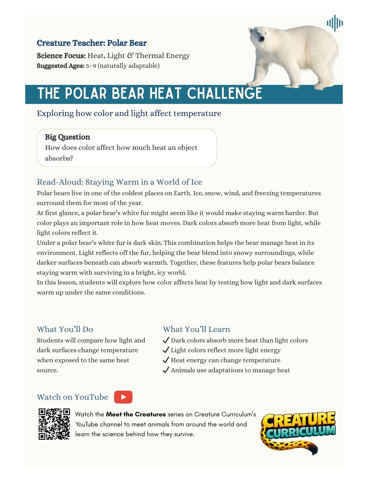 Heat Absorption and Color - Polar Bears