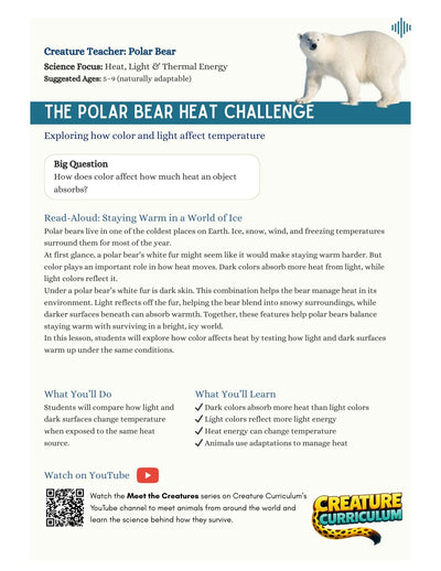 Heat Absorption and Color - Polar Bears