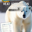Heat Absorption and Color - Polar Bears