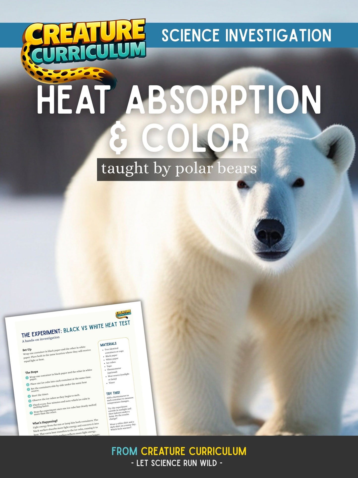 Heat Absorption and Color - Polar Bears