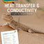 Heat Transfer and Conductivity - Desert Lizards