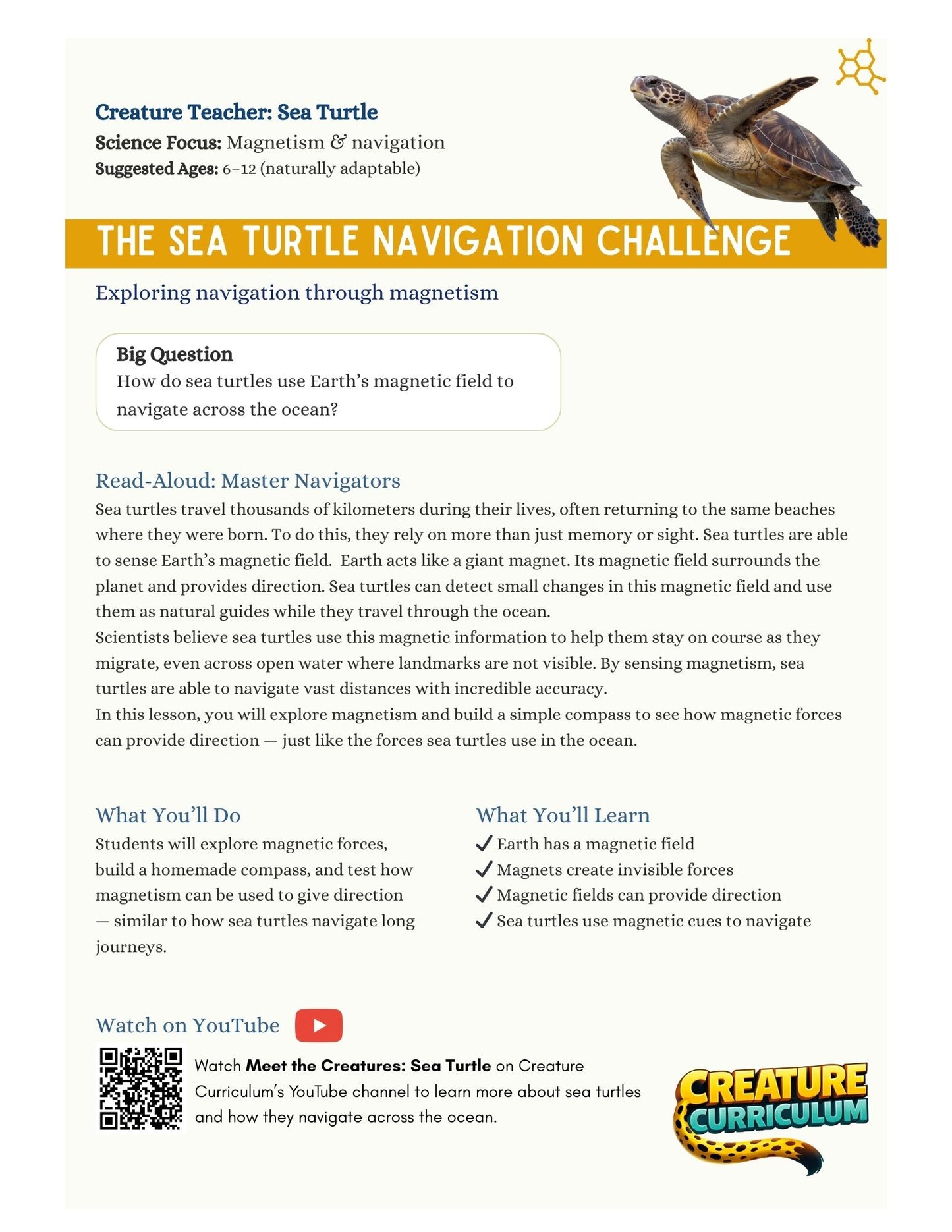 Magnetism & Navigation - Sea Turtles