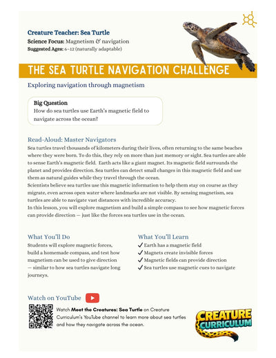 Magnetism & Navigation - Sea Turtles