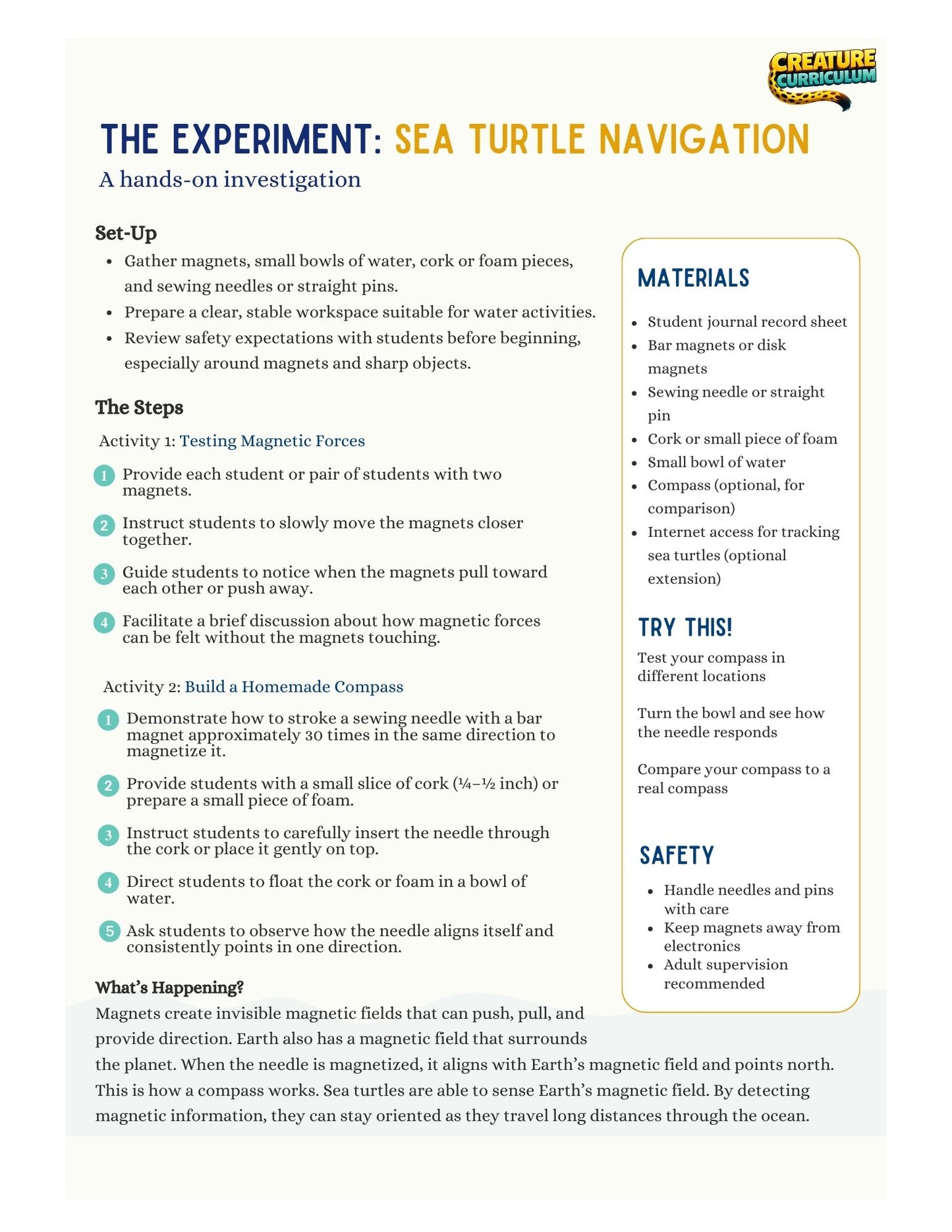 Magnetism & Navigation - Sea Turtles