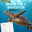 Magnetism & Navigation - Sea Turtles