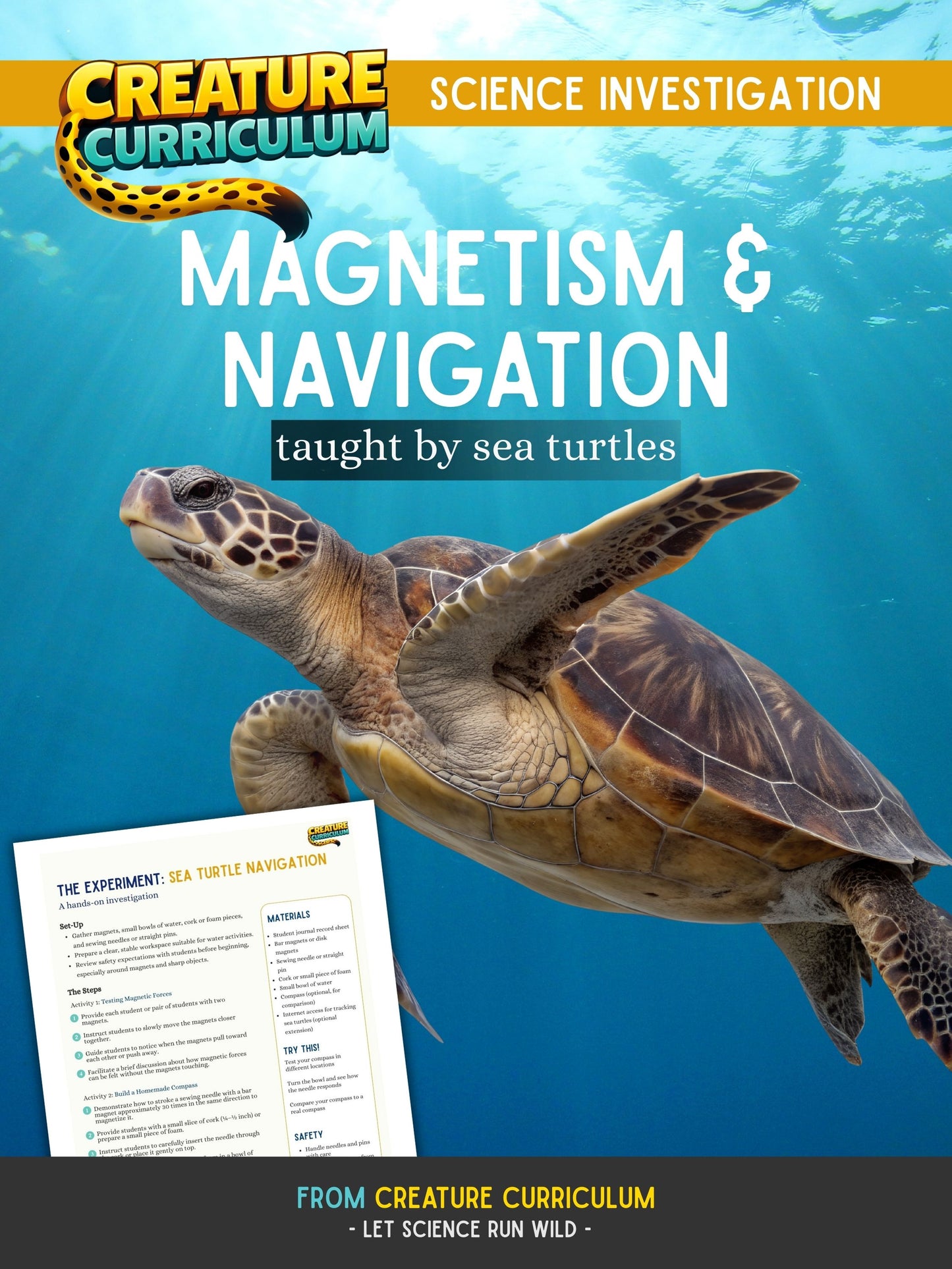 Magnetism & Navigation - Sea Turtles