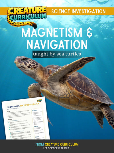 Magnetism & Navigation - Sea Turtles