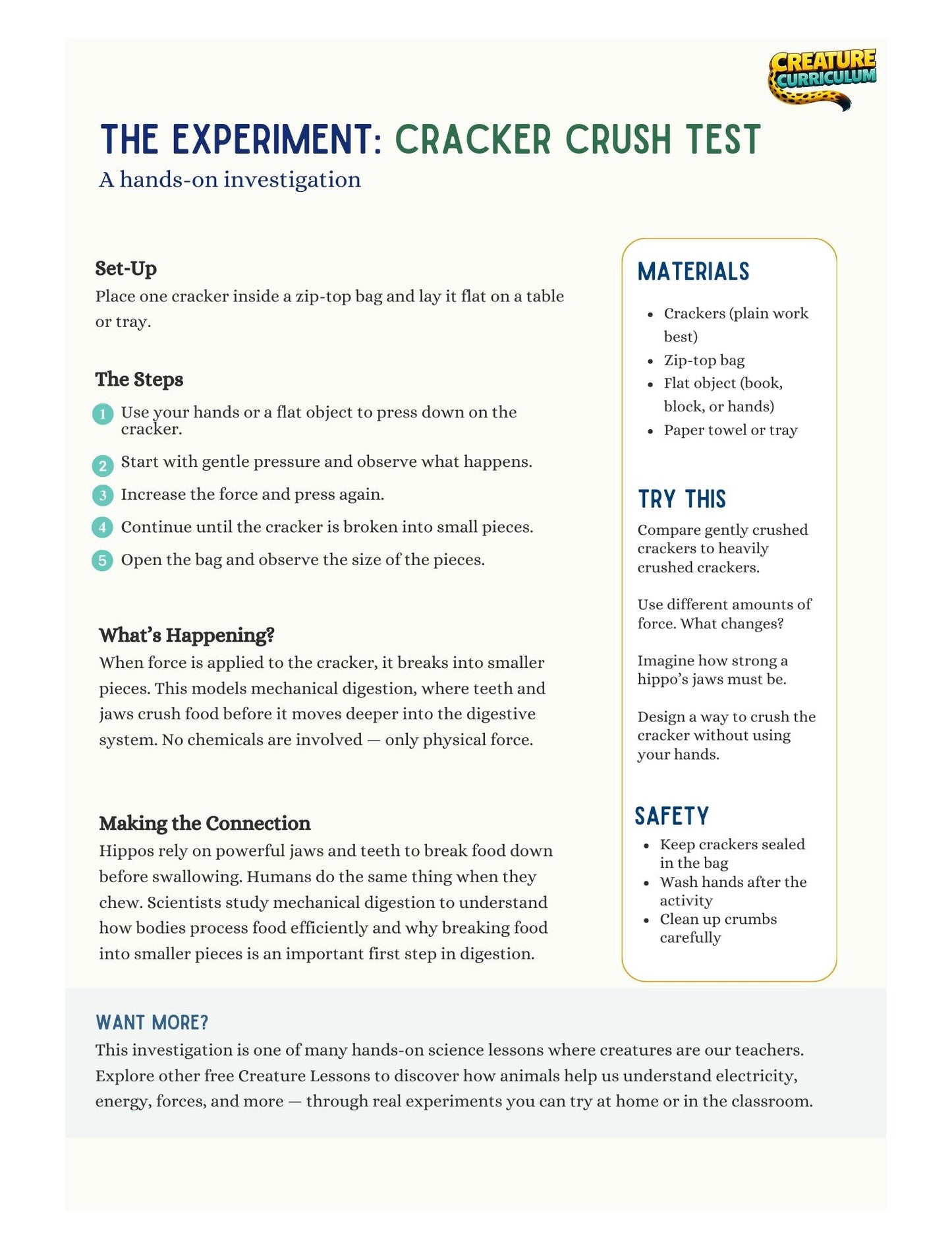 Mechanical Digestion - Hippo
