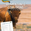 Momentum and Collisions - Bison