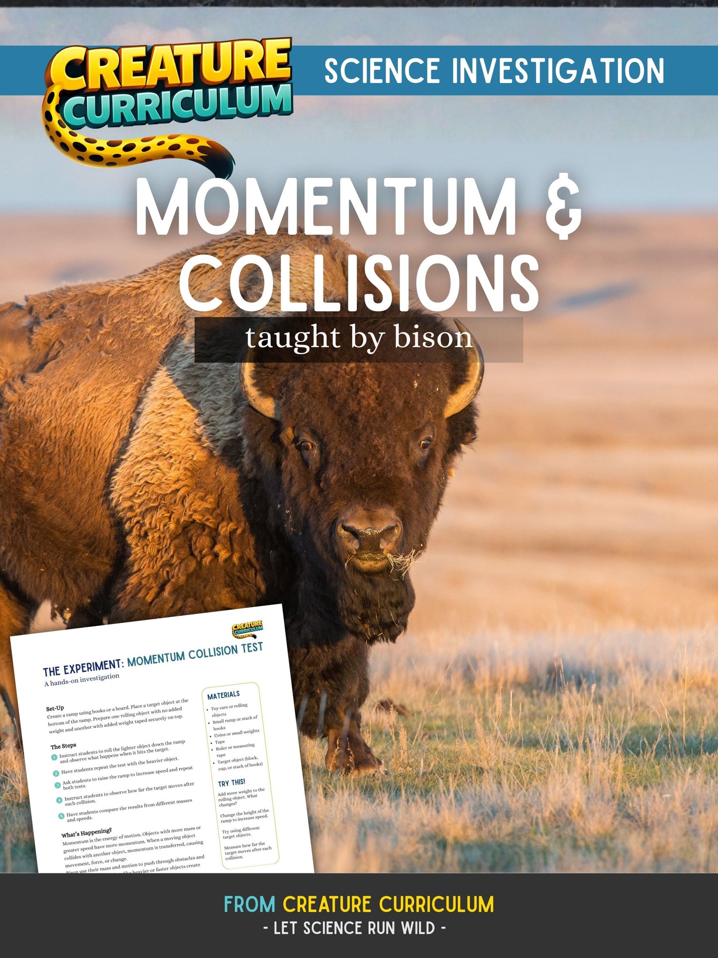 Momentum and Collisions - Bison