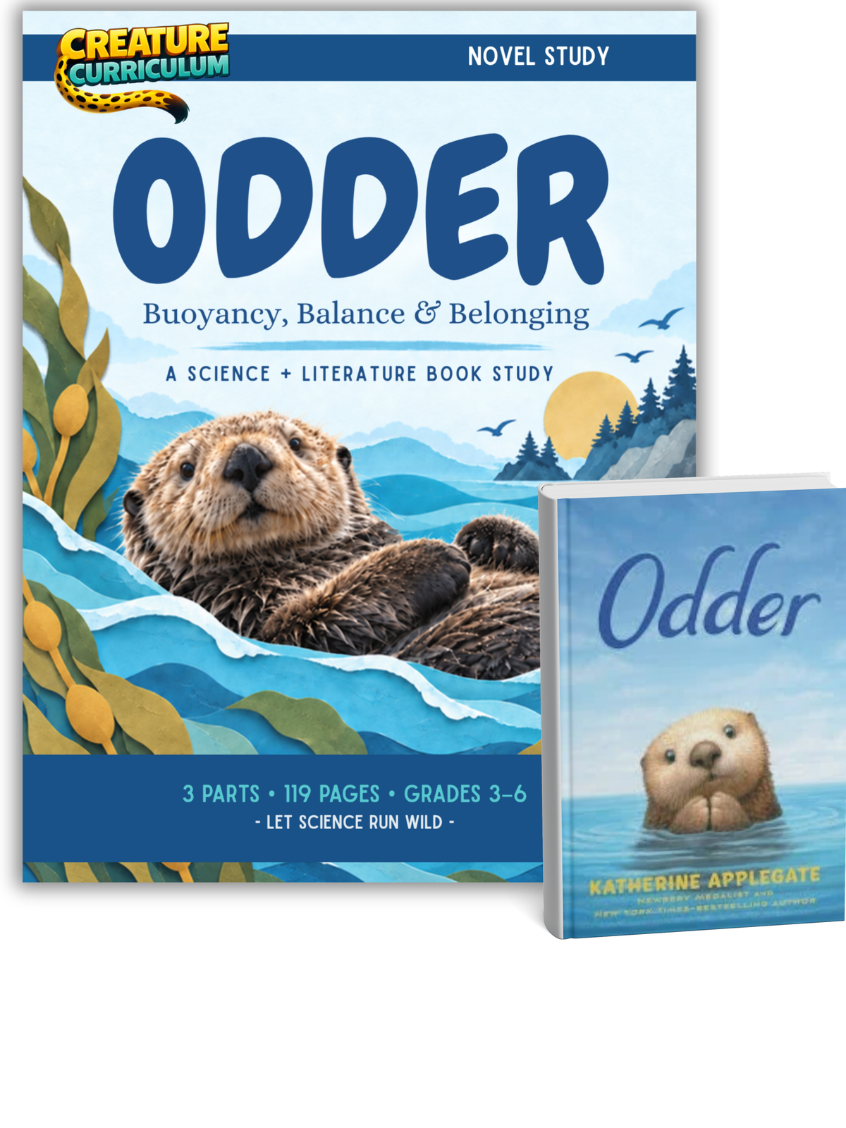 Odder Novel - Book Study