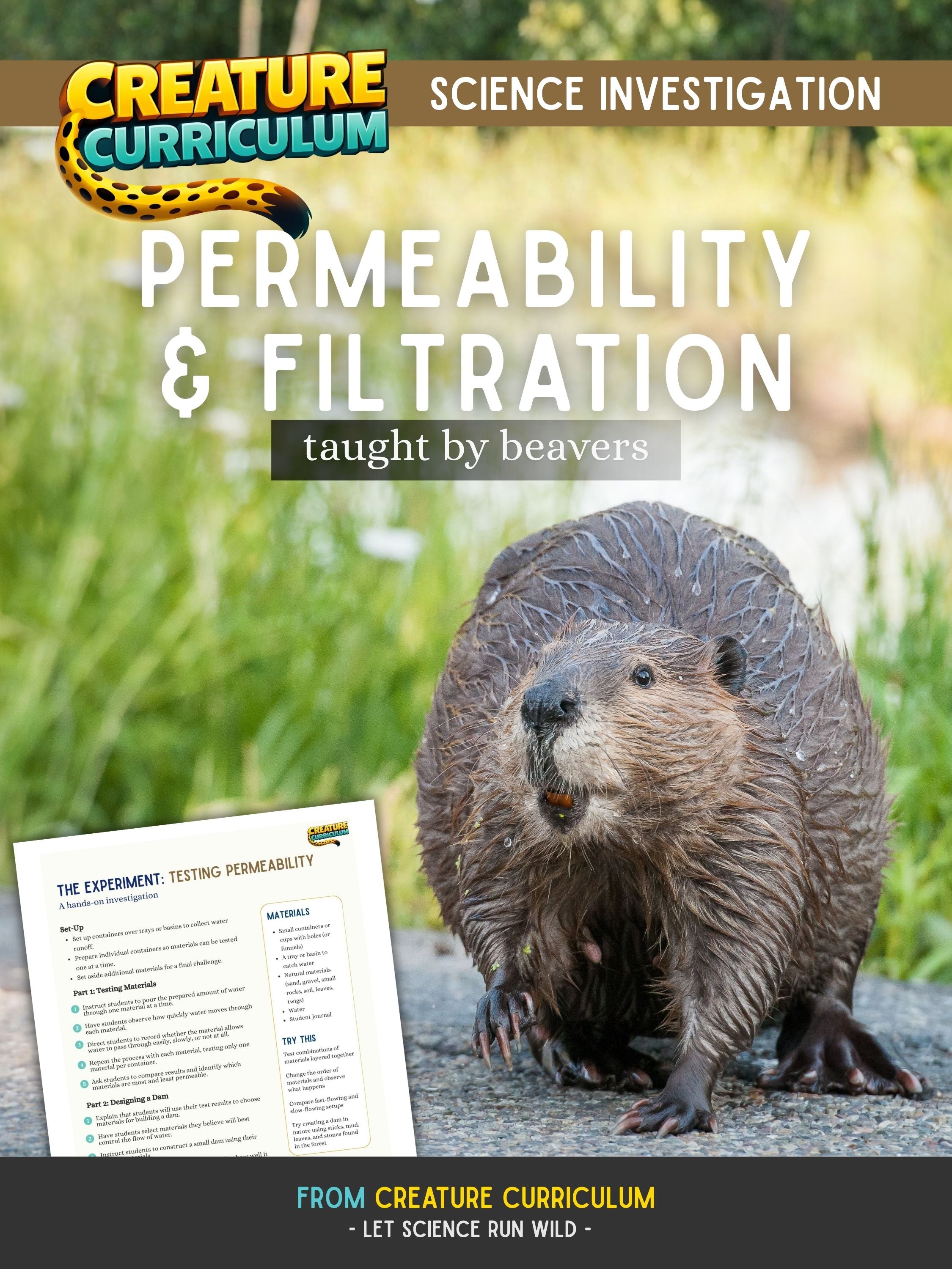 Permeability and Filtration - Beavers – Creature Curriculum
