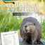 Permeability and Filtration - Beavers