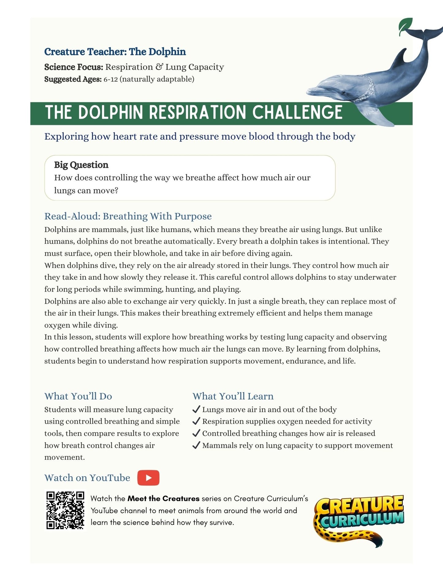 Respiration and Lung Capacity - Dolphins