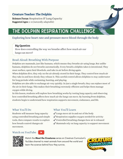 Respiration and Lung Capacity - Dolphins