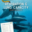 Respiration and Lung Capacity - Dolphins