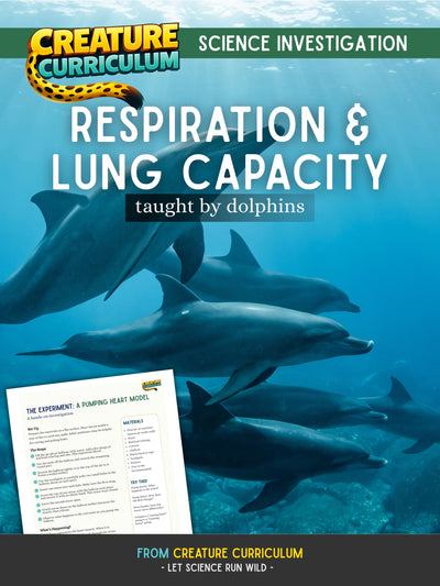 Respiration and Lung Capacity - Dolphins