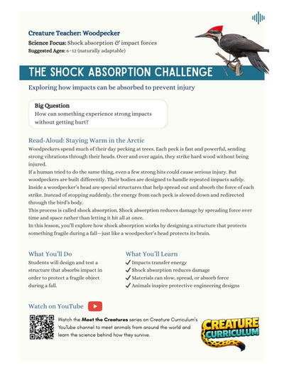 Shock Absorption and Force - Woodpeckers