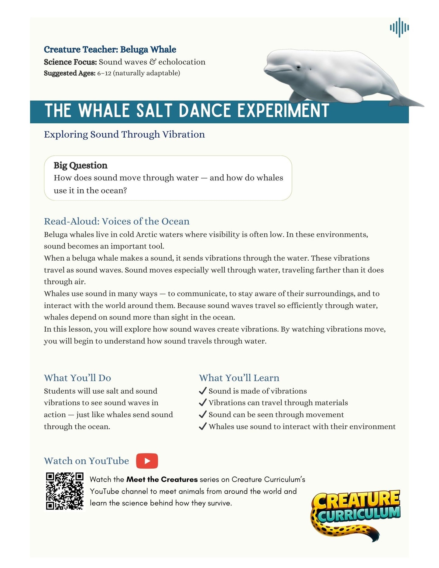 Sound Waves & Vibrations - Beluga Whale