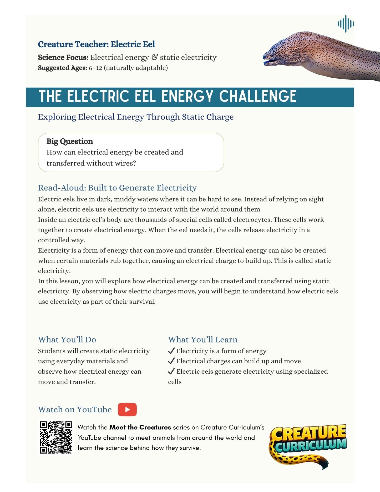 Static Electricity - Electric Eels