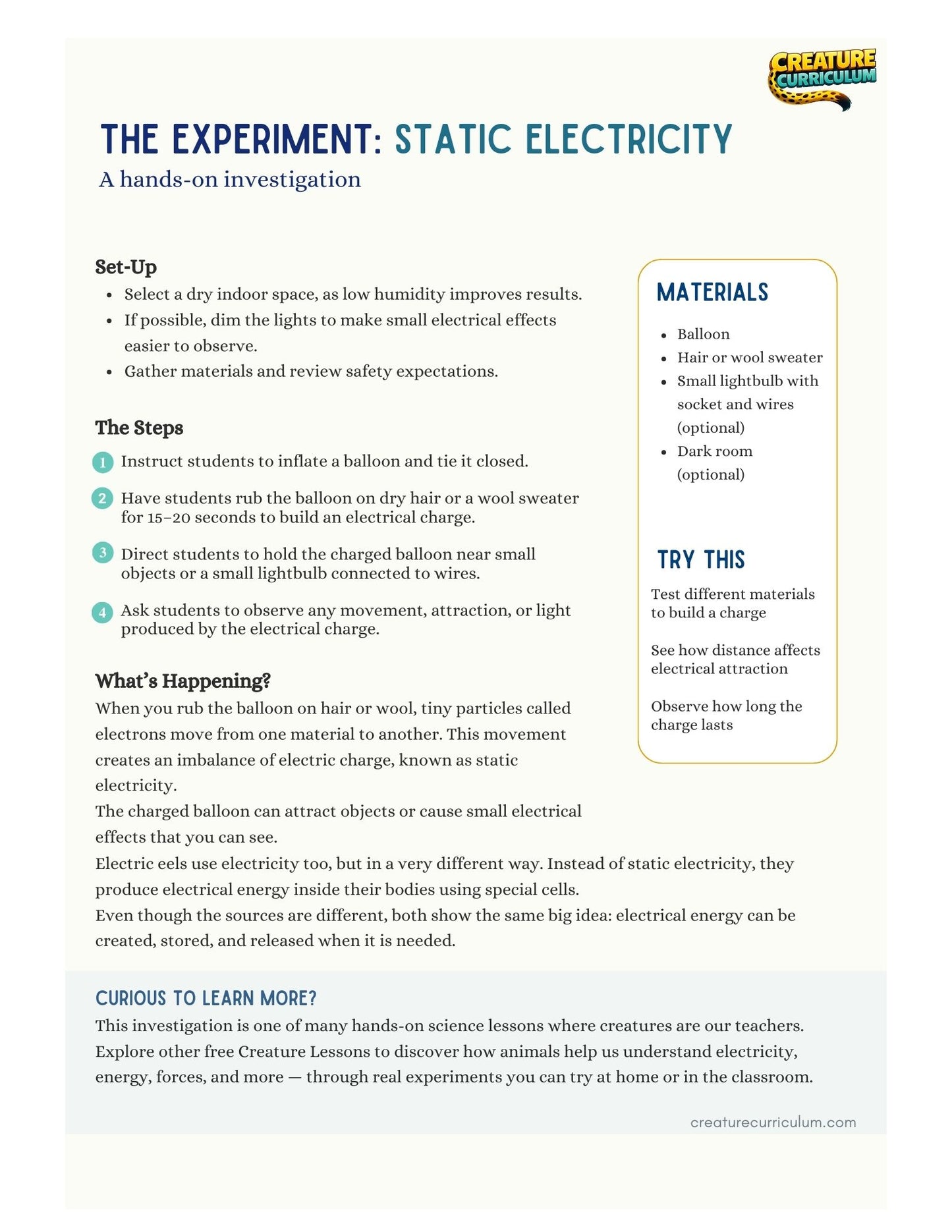 Static Electricity - Electric Eels