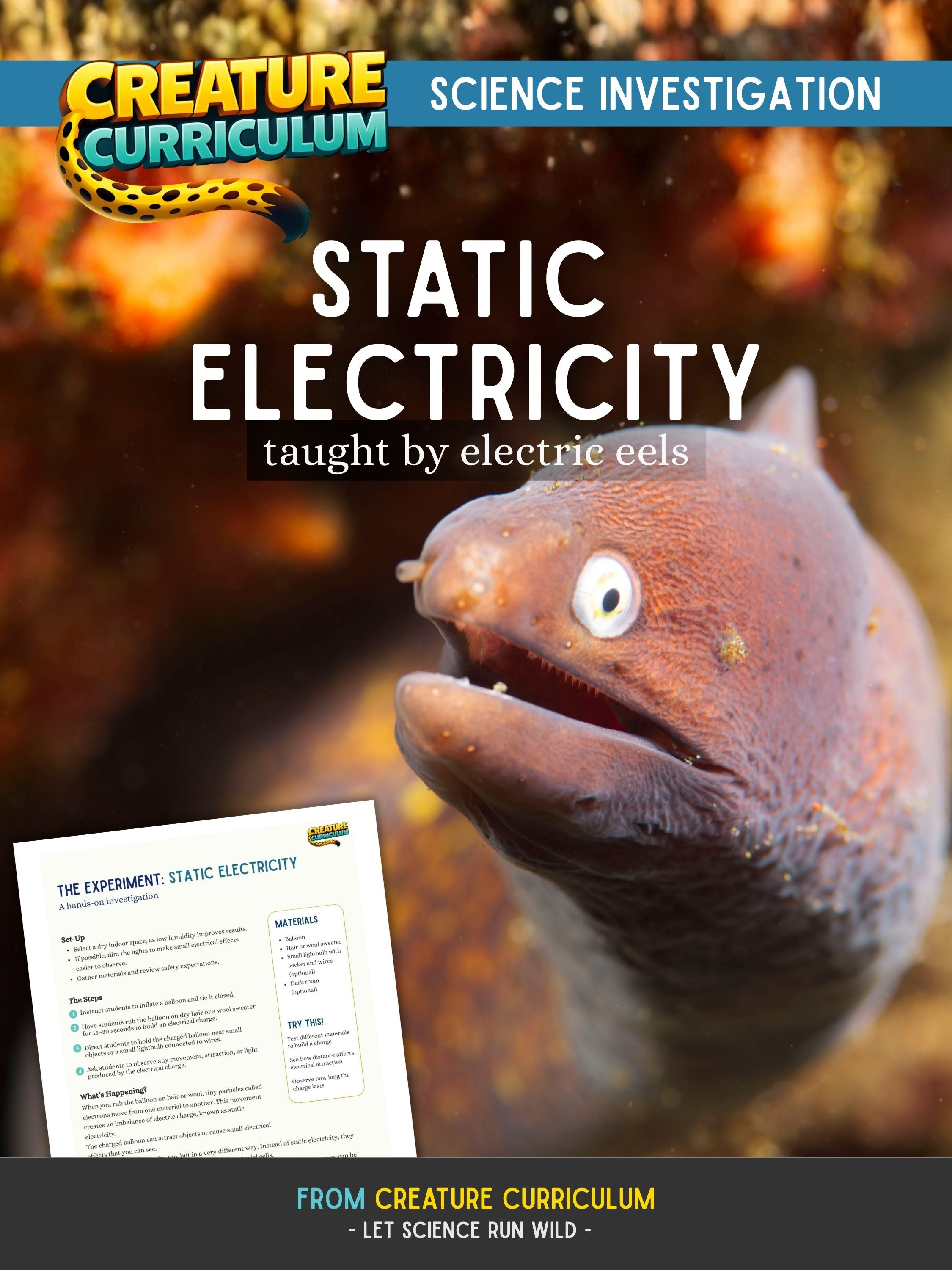 Static Electricity - Electric Eels – Creature Curriculum