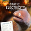 Static Electricity - Electric Eels