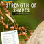 Strength of Shapes - Ants