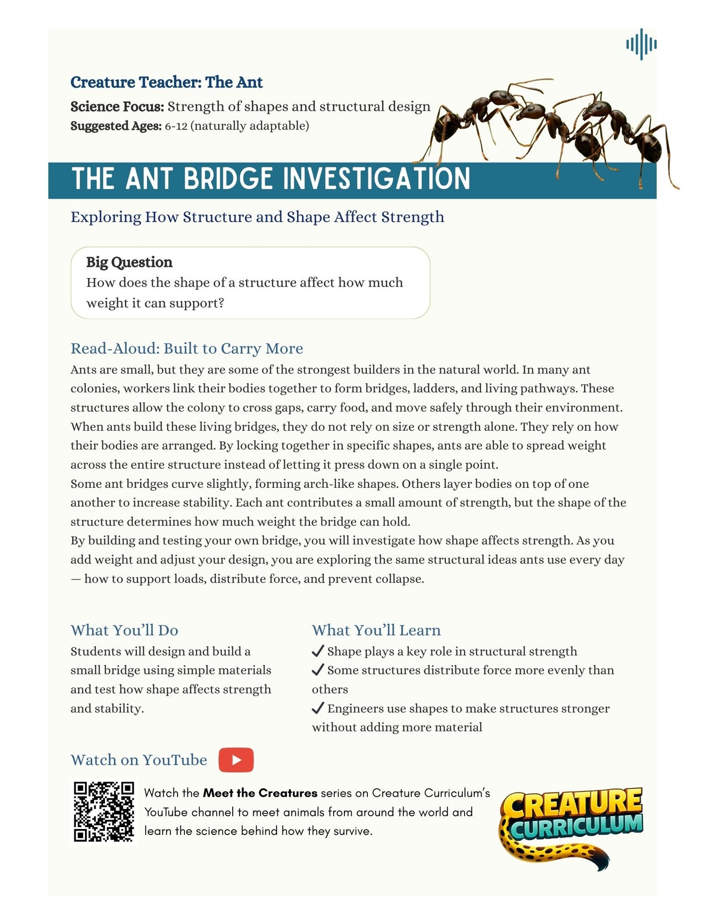 Strength of Shapes - Ants