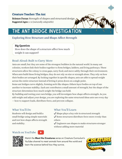 Strength of Shapes - Ants