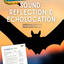 Sound, Reflection and Echolocation – Bat