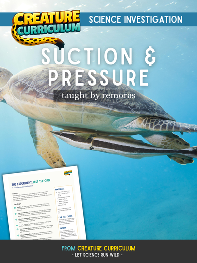 Suction & Pressure – Remora