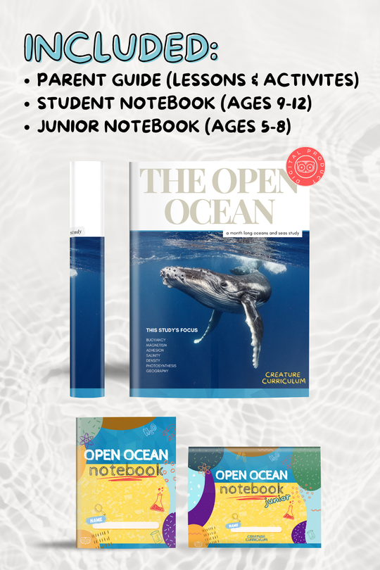 The Open Ocean Study