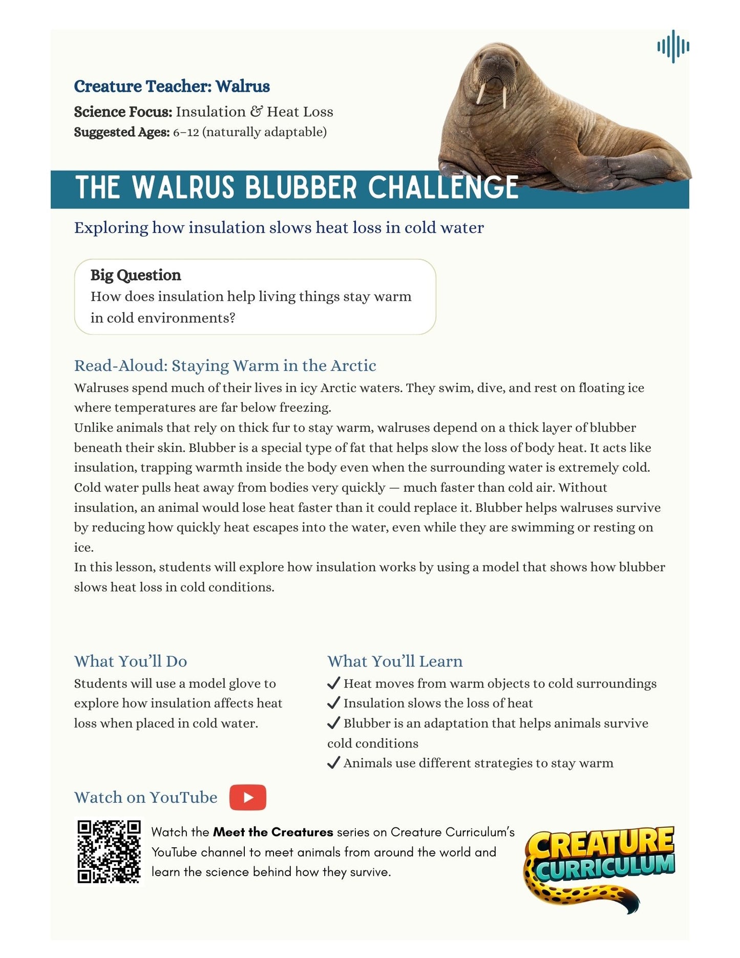 Thermal Insulation - Walrus