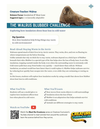 Thermal Insulation - Walrus