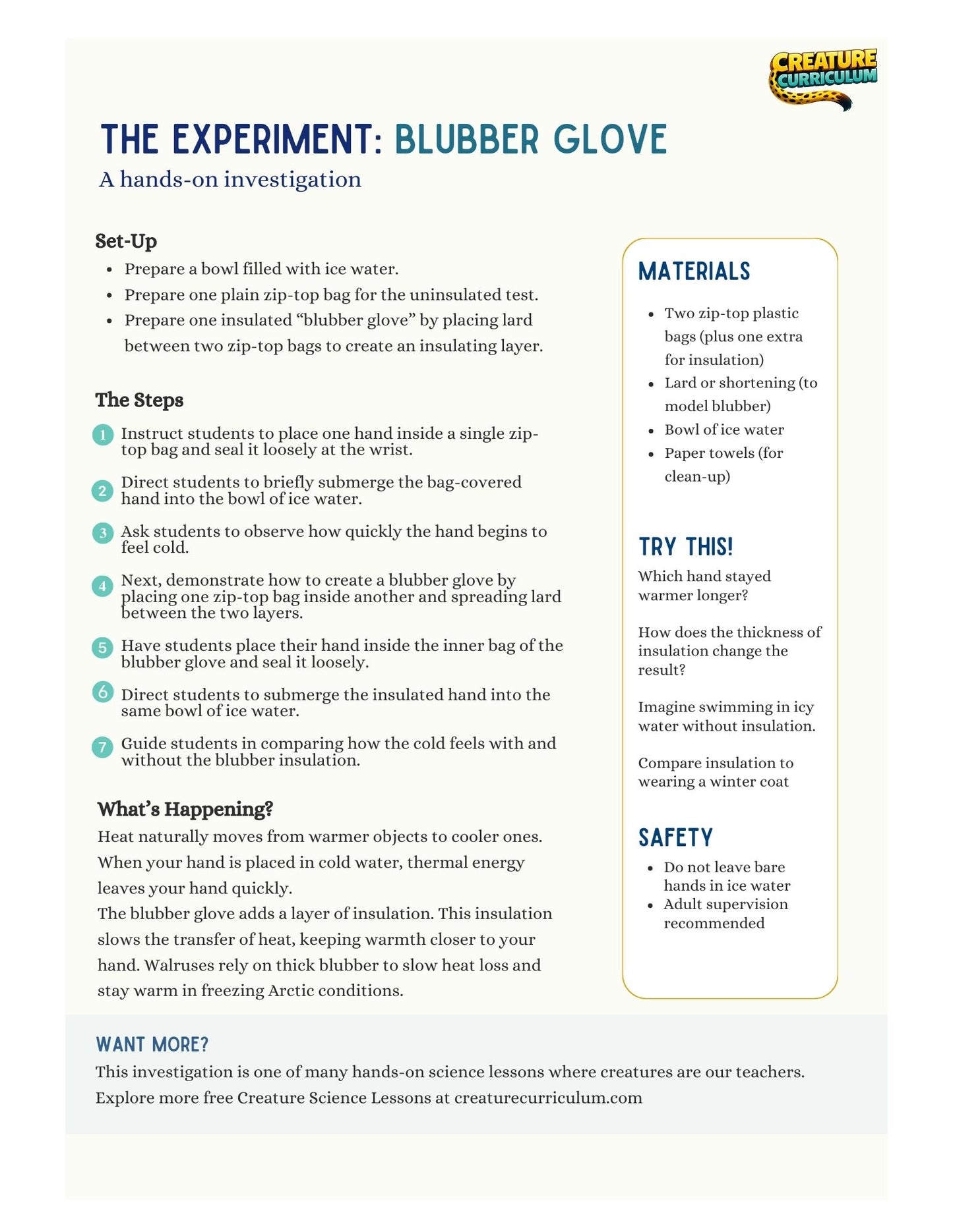 Thermal Insulation - Walrus