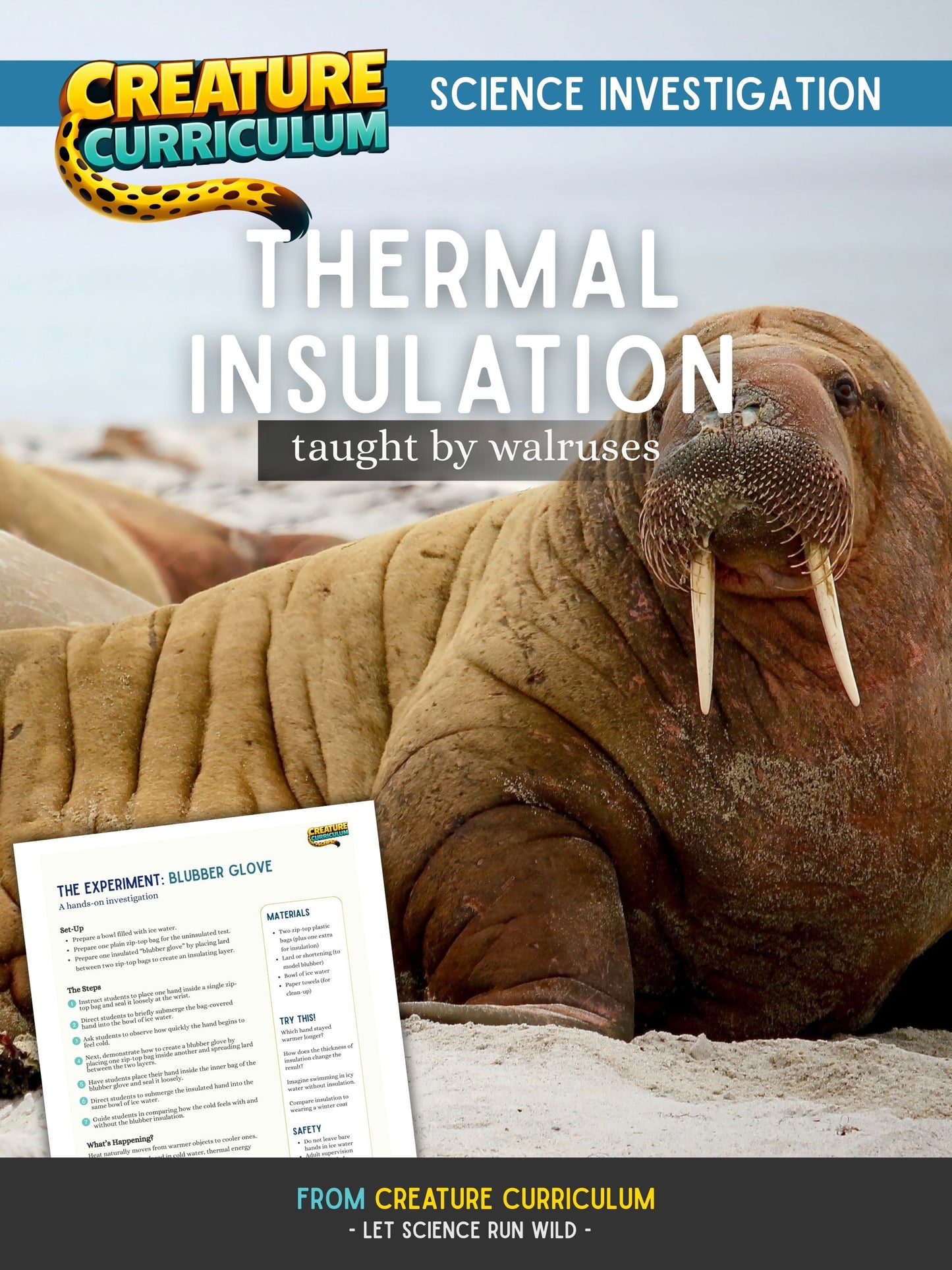 Thermal Insulation - Walrus