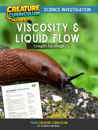 Viscosity and Liquid Flow - Slugs