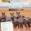 Visual Perception and Motion - Zebras