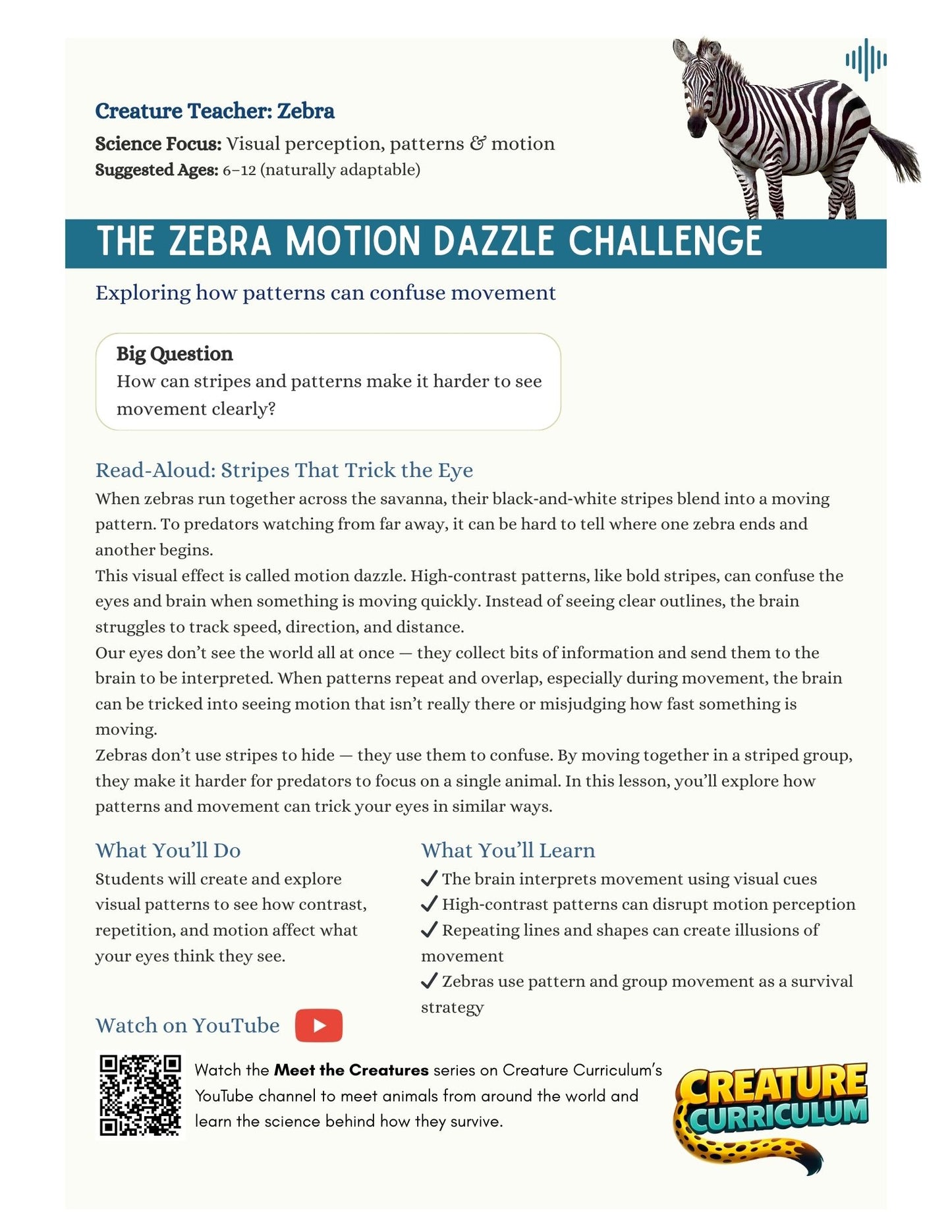 Visual Perception and Motion - Zebras