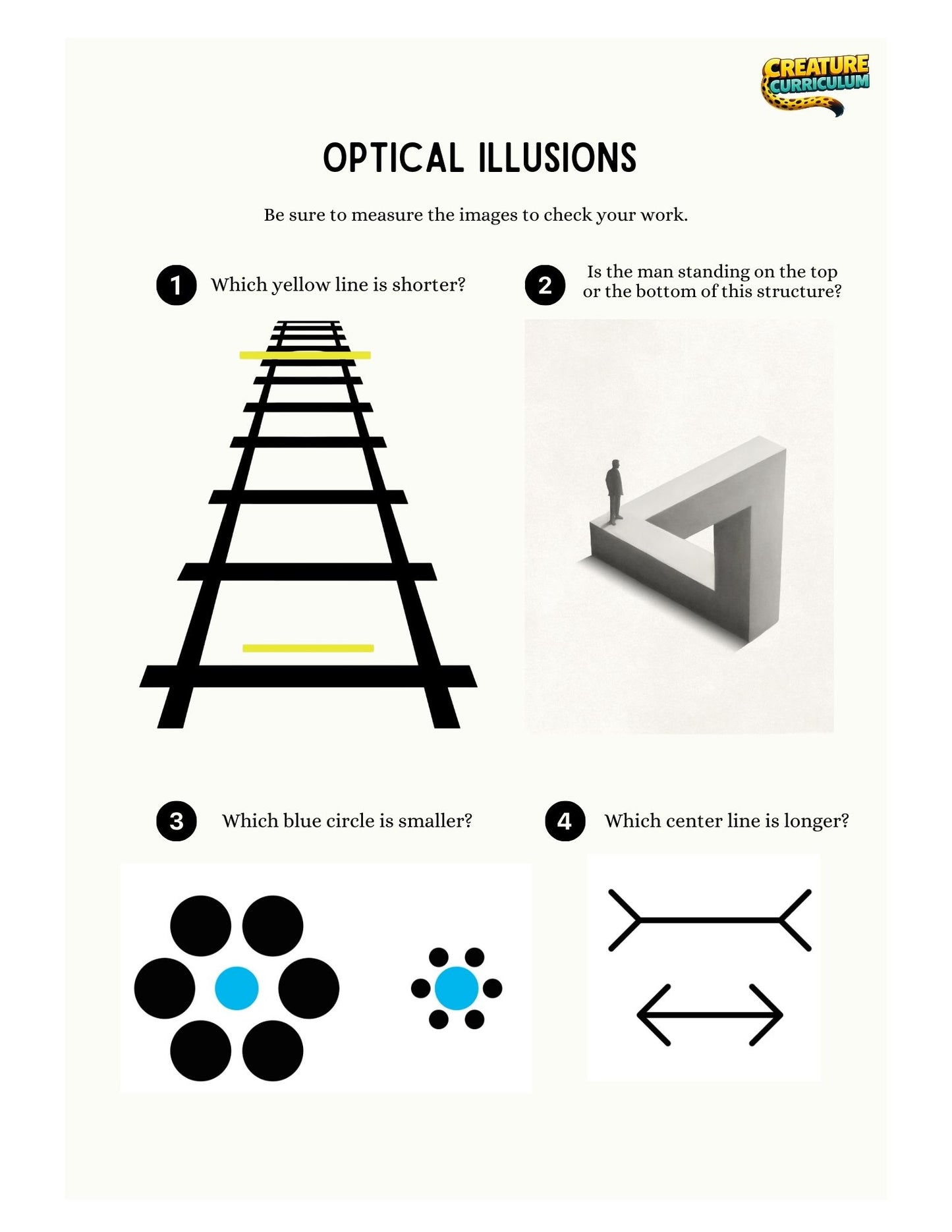 Visual Perception and Motion - Zebras