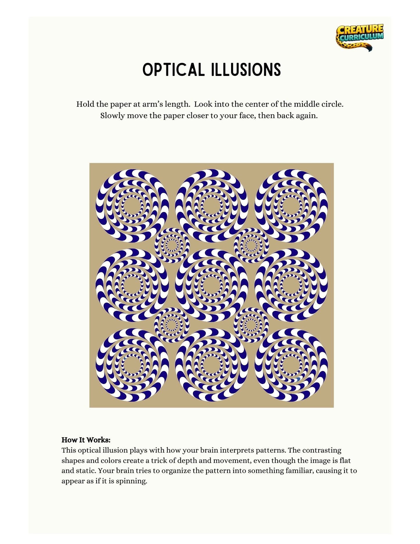 Visual Perception and Motion - Zebras