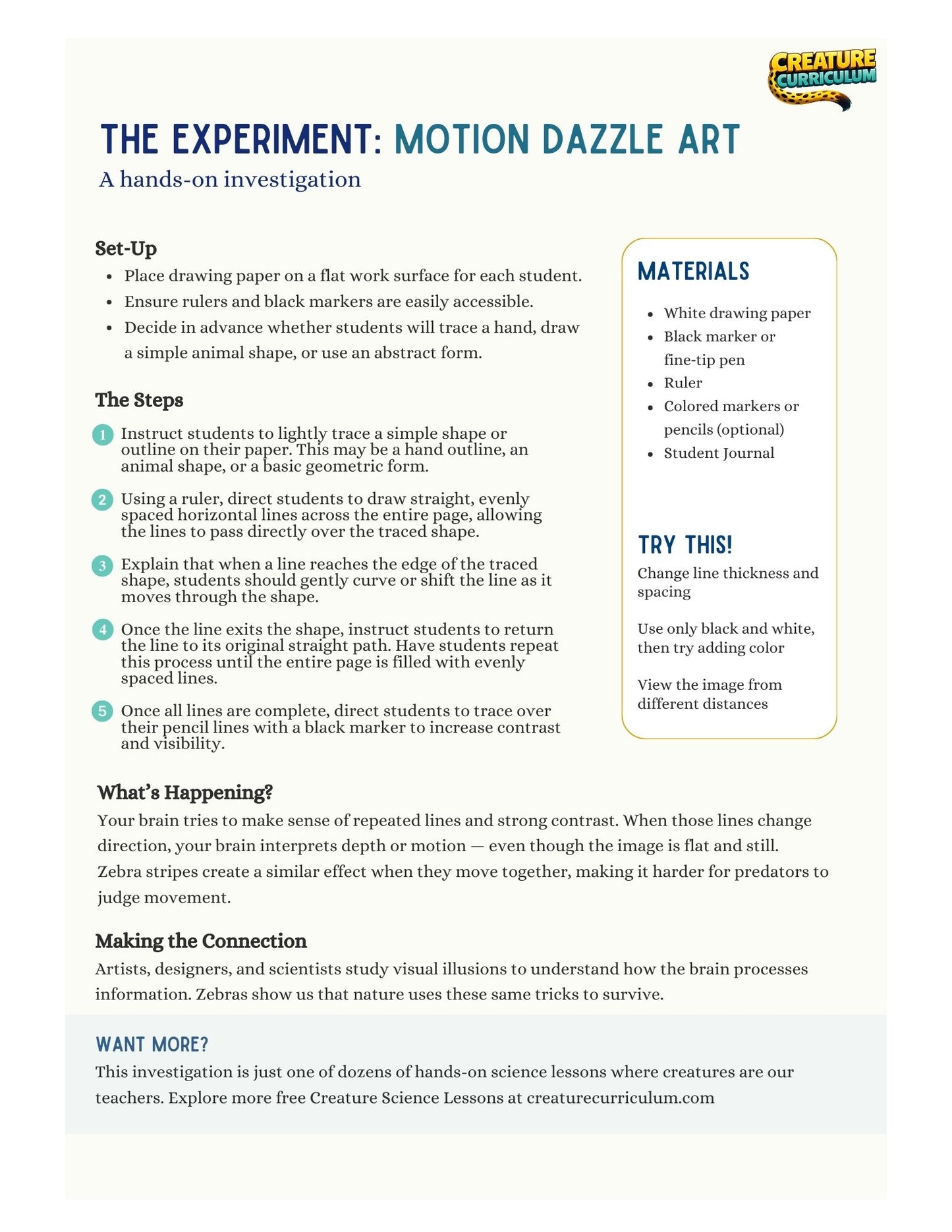 Visual Perception and Motion - Zebras