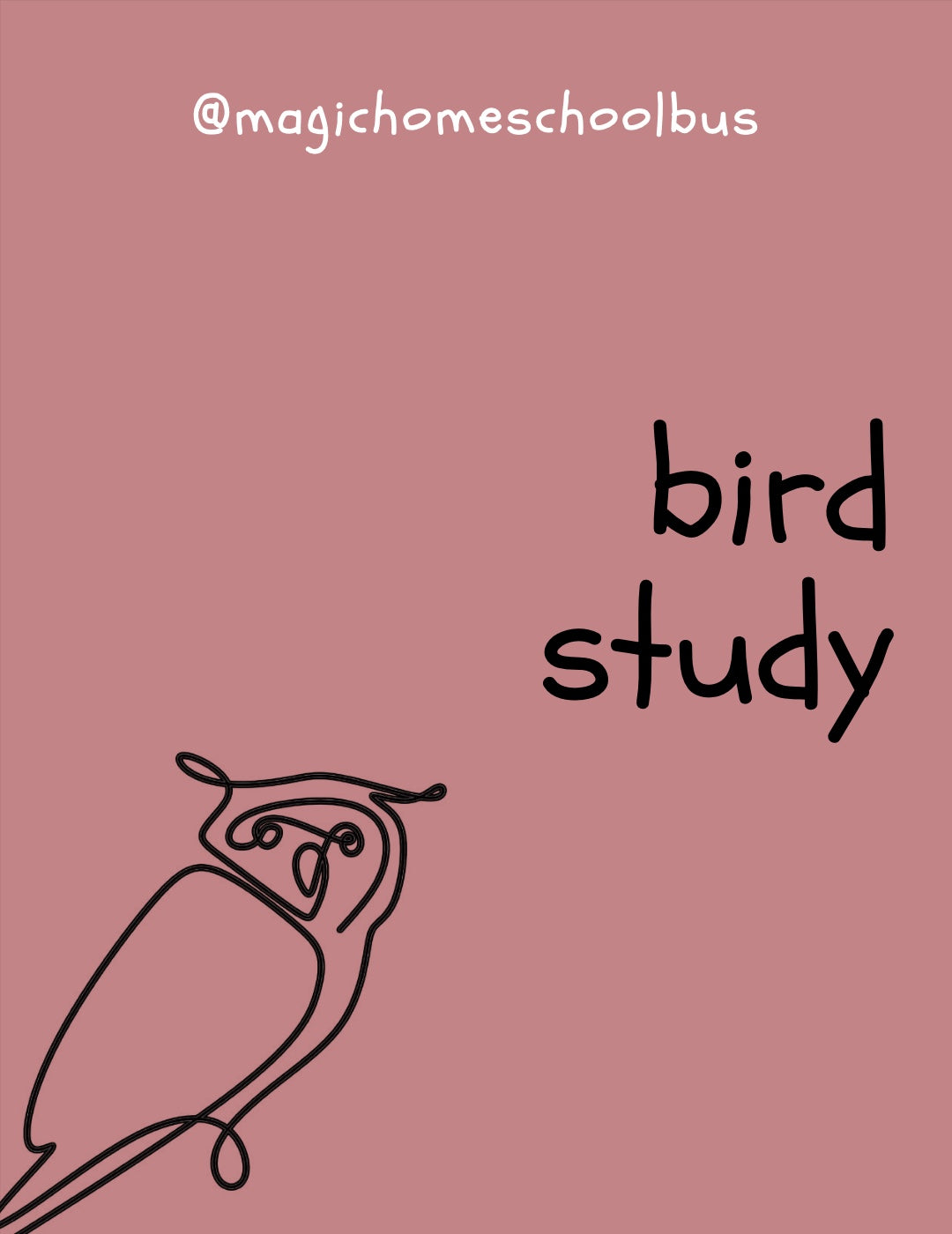 Magic Homeschool Bus - Birds Study