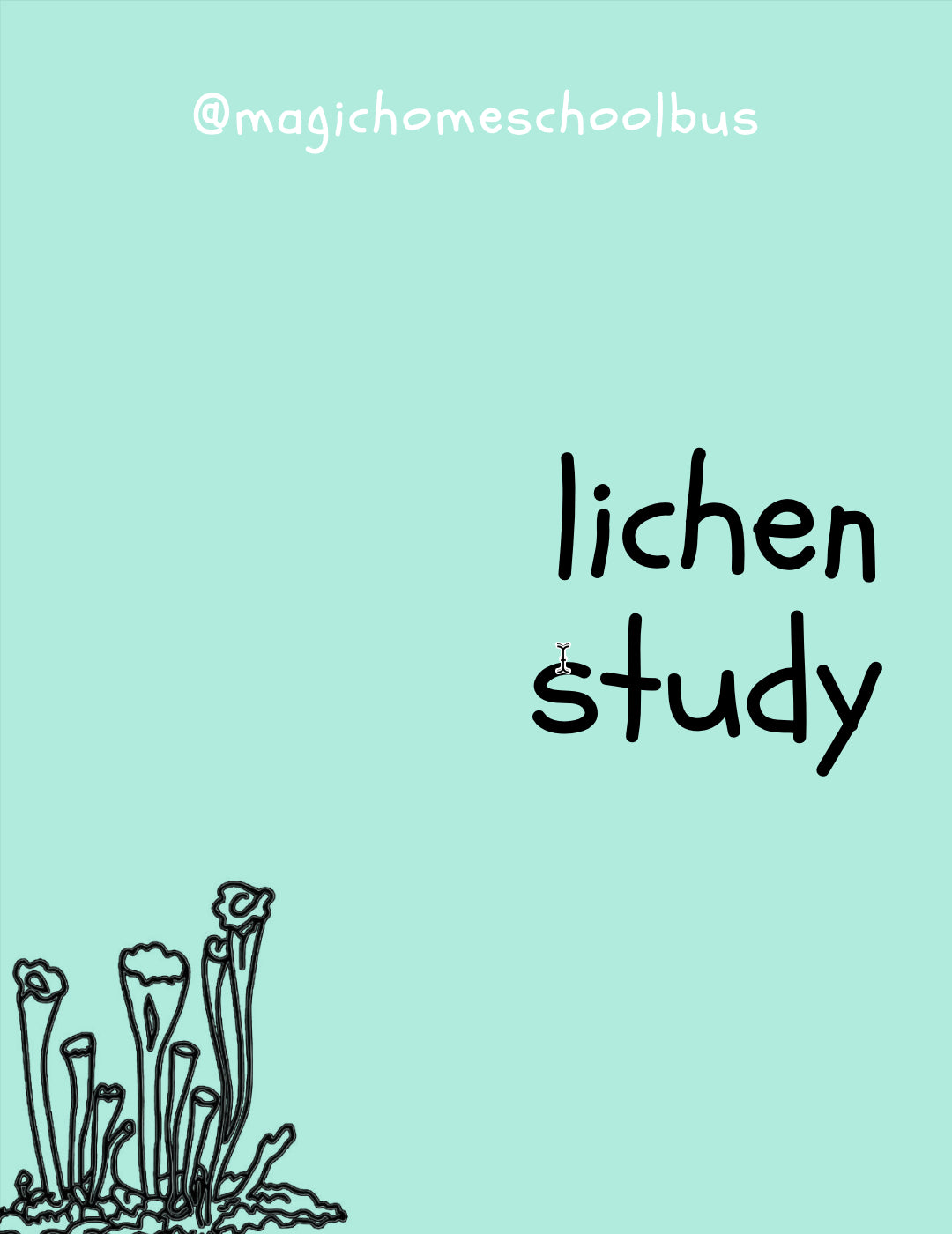 Magic Homeschool Bus - Lichen Study