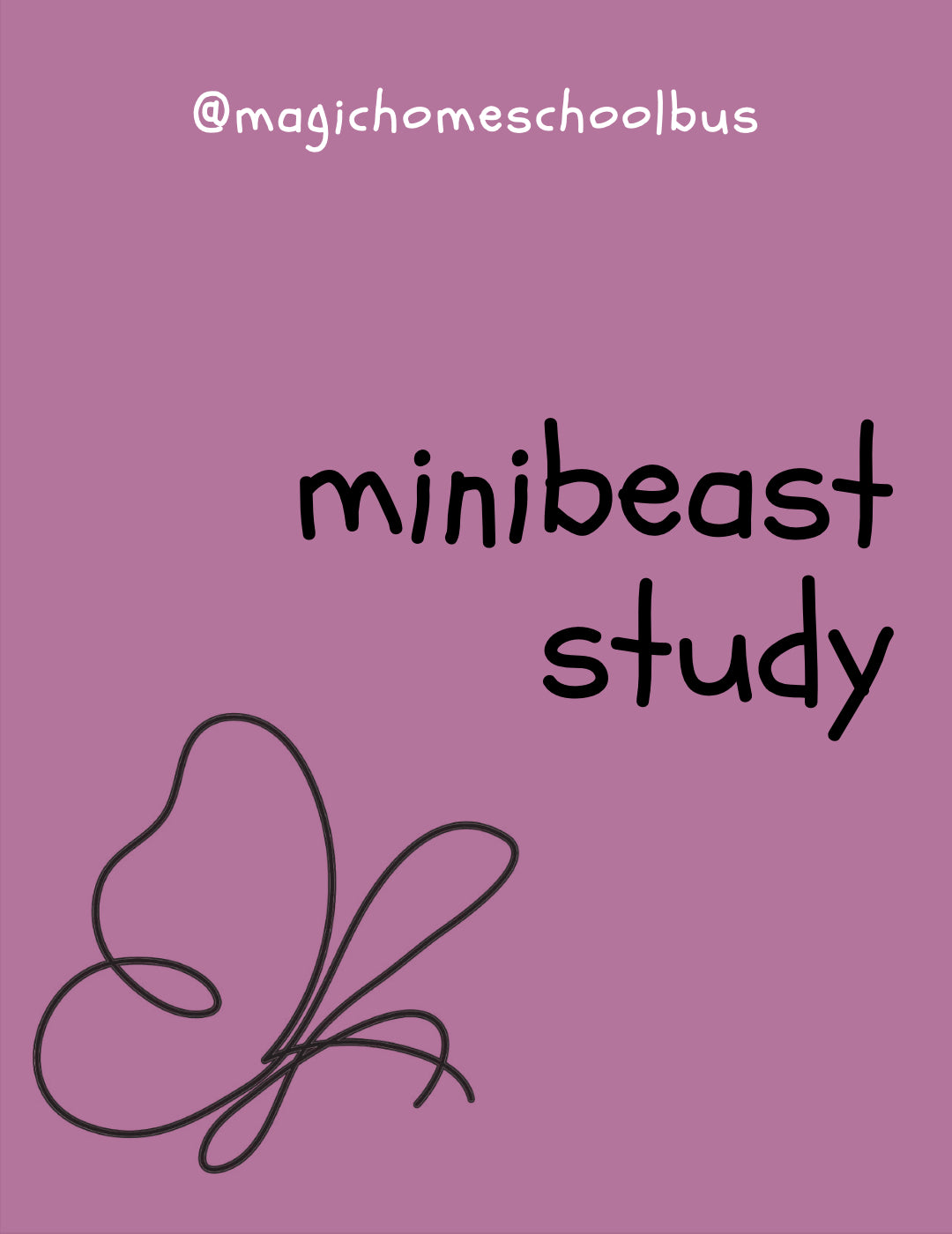Magic Homeschool Bus - Minibeast Study