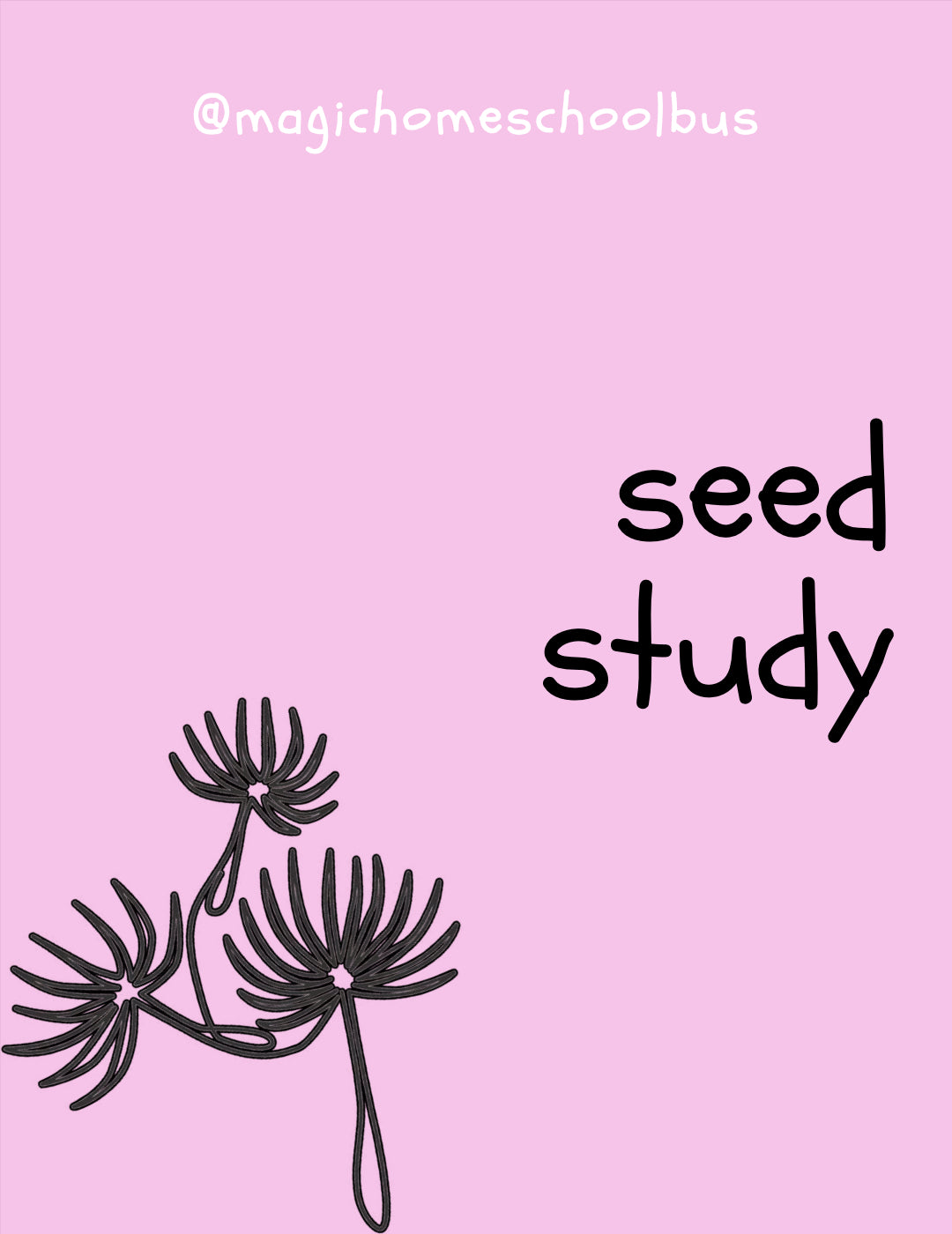 Magic Homeschool Bus - Seed Study